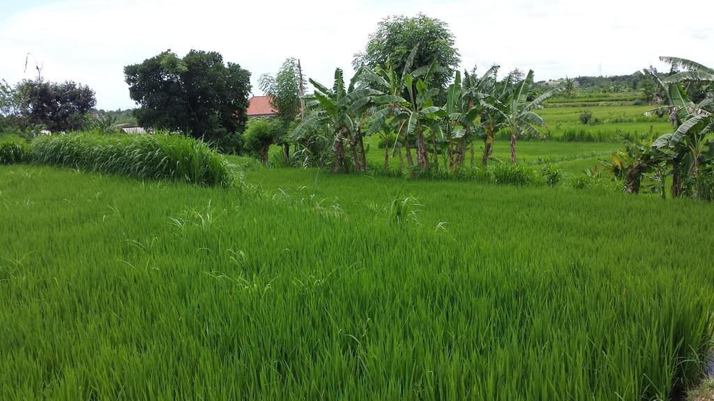 Puri Pondok Dawa Villa Kusamba エクステリア 写真